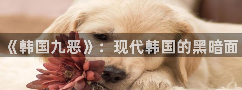 韩漫画网页：《韩国九恶》：现代韩国的黑暗面