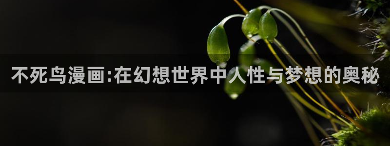 韩漫网站大全：不死鸟漫画:在幻想世界中人性与梦想的奥秘