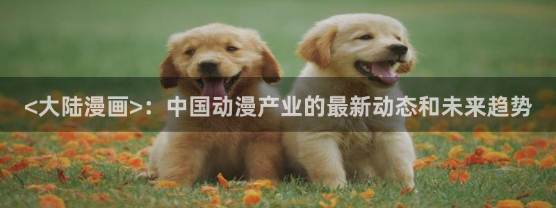 韩漫免费观看在线阅读漫画男同：<大陆漫画>：中国动漫产业的最新动态和未来趋势