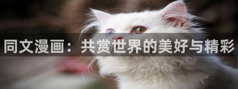 韩漫2在线观看：同文漫画：共赏世界的美好与精彩