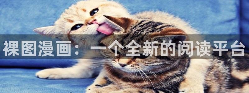 久久韩漫漫画：裸图漫画：一个全新的阅读平台