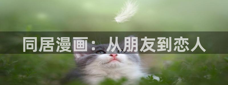 韩漫官网大全：同居漫画：从朋友到恋人
