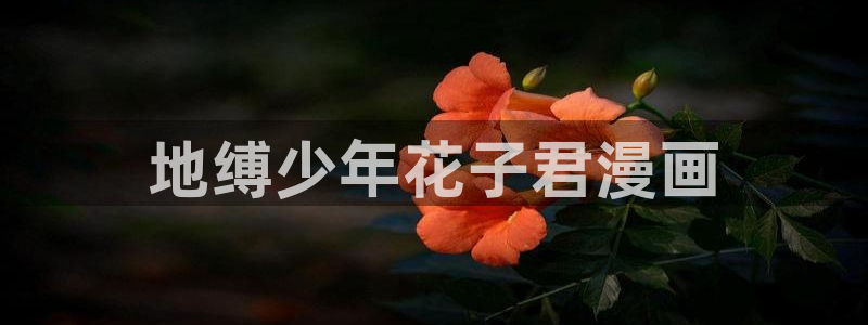 韩漫画 免费：地缚少年花子君漫画
