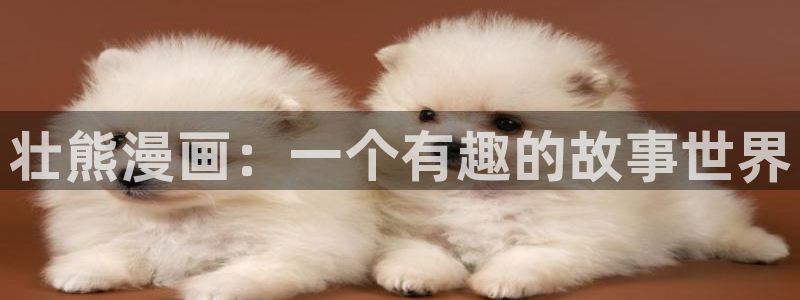 格斗实况韩漫画免费观看：壮熊漫画：一个有趣的故事世界
