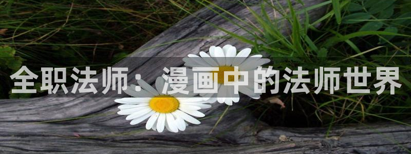漫画帝国韩漫免费观看网站：全职法师：漫画中的法师世界