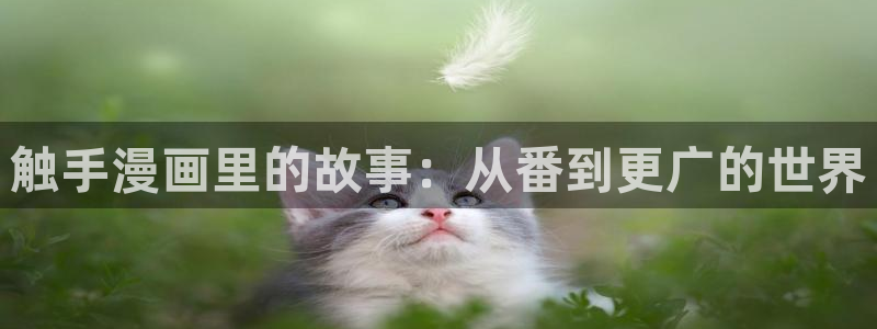 傀儡漫画韩漫：触手漫画里的故事：从番到更广的世界