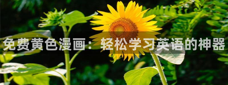韩漫社韩漫入口：免费黄色漫画：轻松学习英语的神器