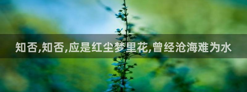韩漫网站安全：知否,知否,应是红尘梦里花,曾经沧海难为水