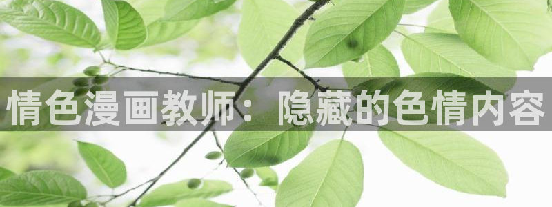 韩漫漫画官方平台：情色漫画教师：隐藏的色情内容