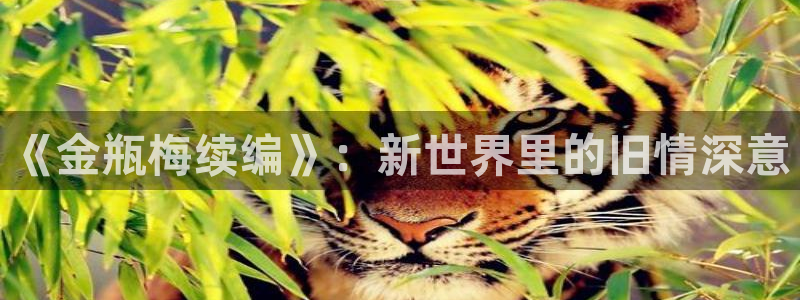 歪歪sss漫画yy韩漫首页：《金瓶梅续编》：新世界里的旧情深意