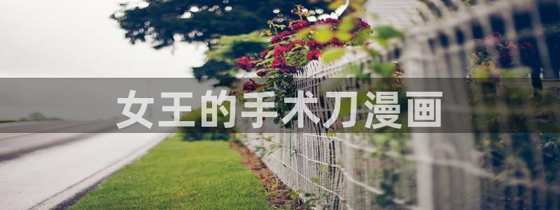 韩漫网页网站：女王的手术刀漫画