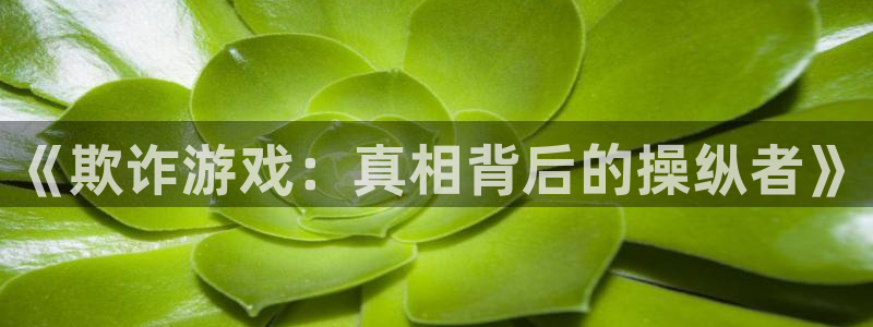 免费看美丽新世界韩漫：《欺诈游戏：真相背后的操纵者》