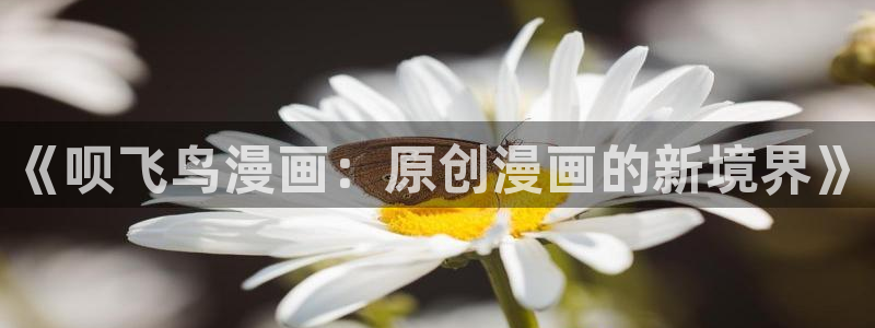 弱点韩漫画免费阅读：《呗飞鸟漫画：原创漫画的新境界》