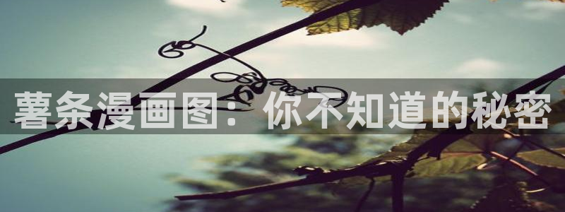 韩漫无遮挡免费歪歪在线观看
