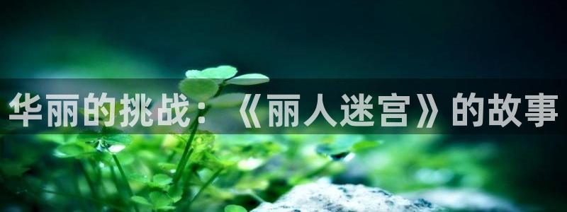 韩漫之家漫画在线入口免费：华丽的挑战：《丽人迷宫》的故事