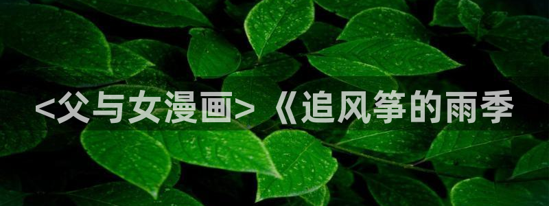 韩漫网址歪歪漫画：<父与女漫画> 《追风筝的雨季